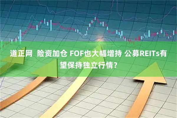 道正网  险资加仓 FOF也大幅增持 公募REITs有望保持独立行情？