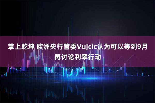 掌上乾坤 欧洲央行管委Vujcic认为可以等到9月再讨论利率行动