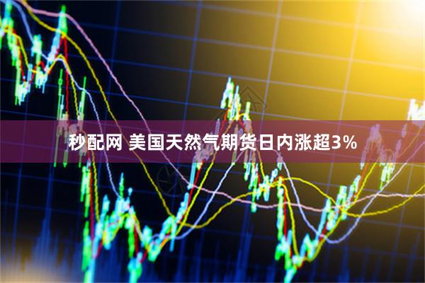 秒配网 美国天然气期货日内涨超3%
