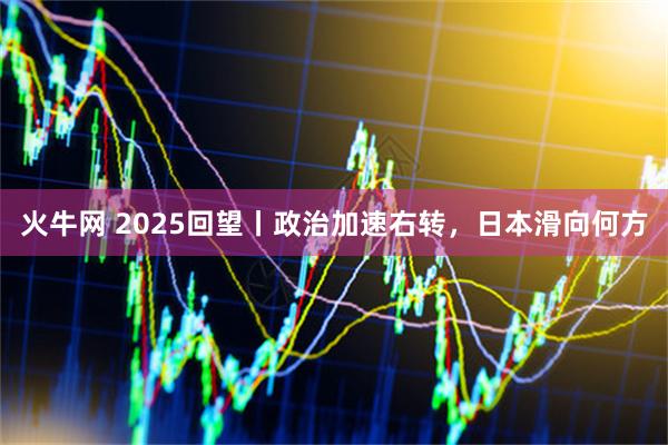 火牛网 2025回望丨政治加速右转,日本滑向何方