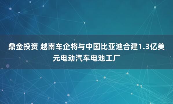 鼎金投资 越南车企将与中国比亚迪合建1.3亿美元电动汽车电池工厂