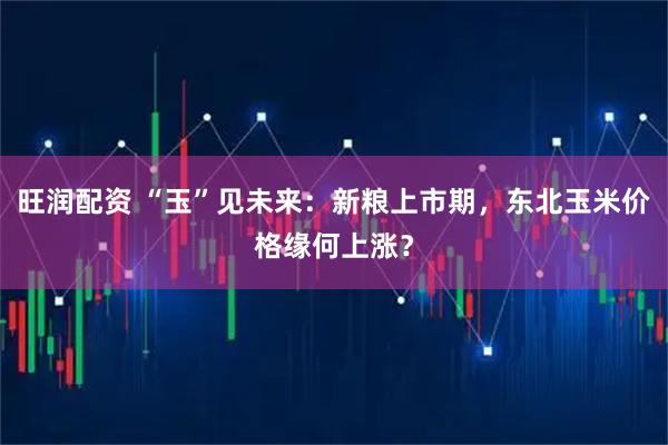 旺润配资 “玉”见未来：新粮上市期，东北玉米价格缘何上涨？